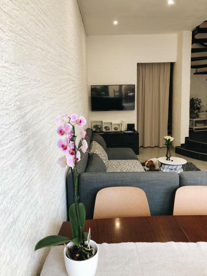 Visiani Apartment Šibenik Екстериор снимка